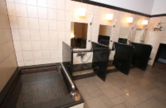 廣島新幹線人工溫泉二股湯之華格林裡奇飯店