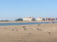 FIRST LINE BEACH LUXURY APARTMENT. SEA VIEWS - View biển