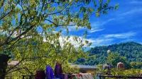 Areal House Tam Đảo Hotels in TT. Tam Dao
