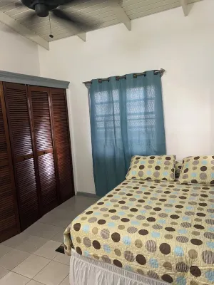 3-bedroom Spacious House, private parking, access to balcony free Wi-Fi & AC