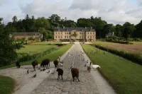 Superb 16th century mill