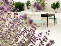 Artist's house, magical place warming heart and soul. Hotels in Cisternino