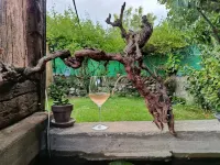 Le Gîte du Pont des Lones