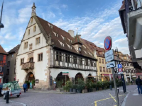 Apartment and garden in house in Obernai