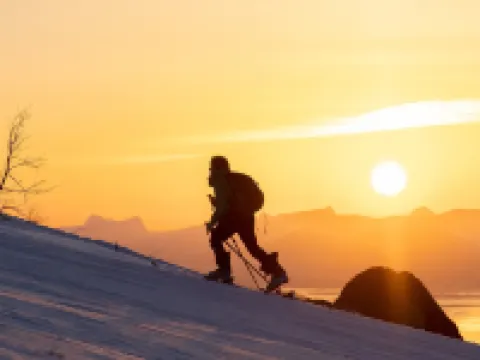 Central 1BR apartment (D14D) Hotels in Narvik