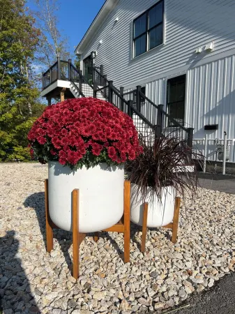 Cozy sunlit apartment steps from downtown Dover. Parking included Отели в г. Роллинсфорд