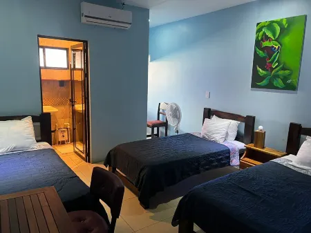 Hotel la Cueva de Limón Отели в г. Лимон