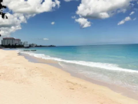 カナリオ ブティック ホテル コンダドのホテル