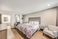 Red Roof Inn Lewisville - Motels
