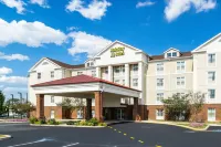 Mainstay Suites Dover Hotels near Dover Commons