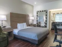Quality Inn Boca Raton University Area Hotels near Gumbo Limbo Nature Center