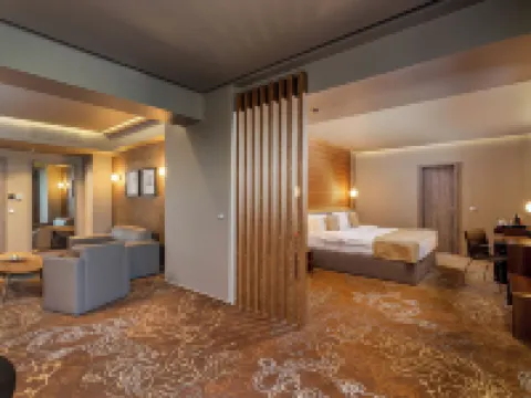 Rin Airport Hotel Hotels in Otopeni