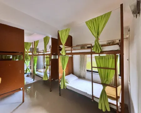 Jungle by Sturmfrei Vagator Hotels in Chapora