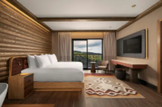 Ceylan Splend'or Uludag, Autograph Collection