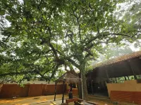 Monsoon Forest By Greetoe Resort Hotels in Tala