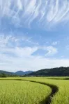 Ryokan Umenoya - Cho phép mang theo thú cưng