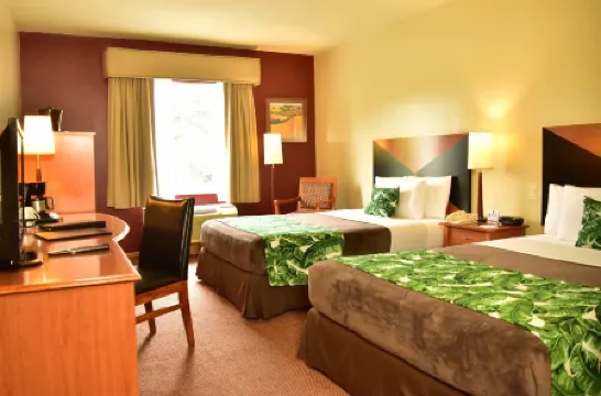 Sleep Inn Hotel Paseo Las Damas