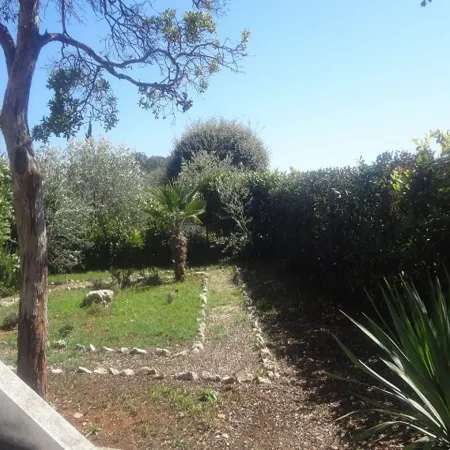 Apartment Andri