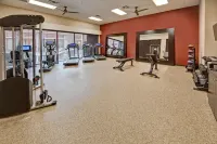 Black Fox Lodge Pigeon Forge, Tapestry Collection by Hilton - gimnasio