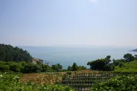 Namhae Circle Pension - 2星級
