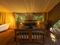 Silk Pavilions Glamping Hotels in Murwillumbah