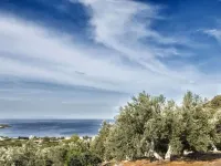 Epidavros Villas - Gardenia Garden Retreat w Pool Hotels in Epidaurus