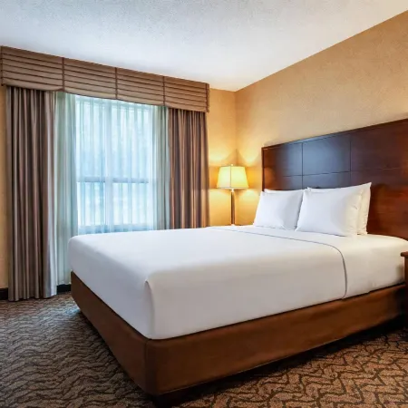 Comfort Inn & Suites Ambassador Bridge