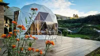 A'Moss Farmstay
