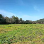 Charming 19th-Century Farmhouse Retreat in Lousã, Portugal - 3성급