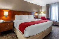 Comfort Inn & Suites Geneva- West Chicago - Parkplatz