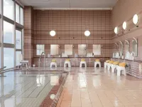 Hotel Ginga Park Hanamaki, Kanaya Onsen - 3-Star
