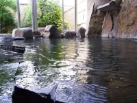 Ryokan Otsukien - Hot Springs