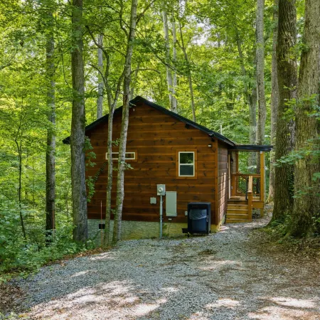 Bearly Behaving 1 Bedroom Cabin