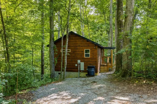Bearly Behaving 1 Bedroom Cabin - Chalets