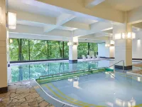 Hotel Harvest Kinugawa - Pools
