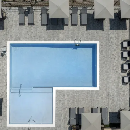 Homewood Suites by Hilton Jackson