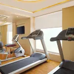 檸檬樹酒店-果阿坎多林 - 健身室/gym room