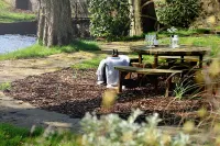 Best Western Manchester Bury Bolholt Country Park Hotel Hotels in Ramsbottom