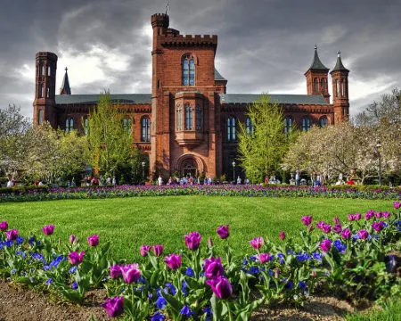 Best Western Fairfax Hotels in Fairfax