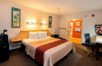 Red Roof Inn Buffalo - Hamburg/ I-90 Hotels in Eden