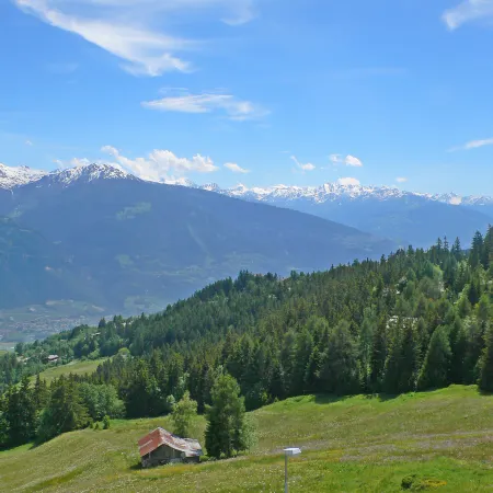Clairière des Barzettes B16