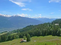 Clairière des Barzettes B16