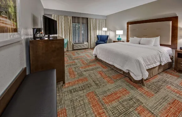 希爾頓歡朋酒店-薩默維爾