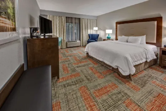 希爾頓歡朋酒店-薩默維爾