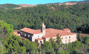 Monasterio El Olivar