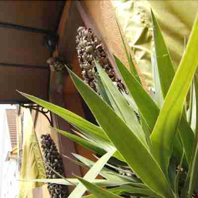 Art Hotel Neckar Hotel Exterior