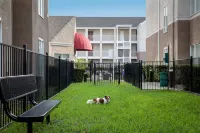 Sonesta ES Suites Dallas Medical Market Center Hotels near The Potter's House of Dallas