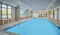 Holiday Inn & Suites OAKVILLE @ BRONTE by IHG - Pools
