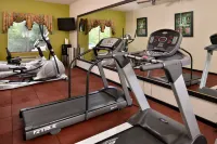 Holiday Inn Express & Suites SHERMAN HWY 75 by IHG - Kuntosalit