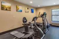 Comfort Inn Biltmore West - Gym
